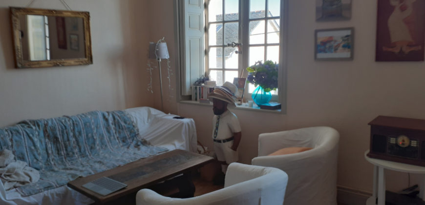 Vente immeuble – Ingrandes