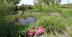 Vente maison – Varades