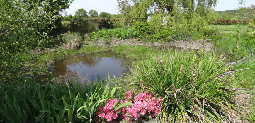 Vente maison – Varades