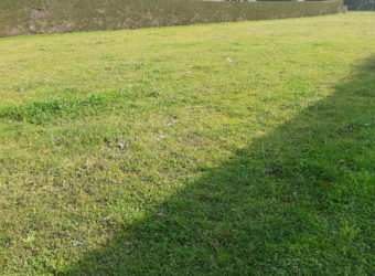 Vente terrain – Ingrandes