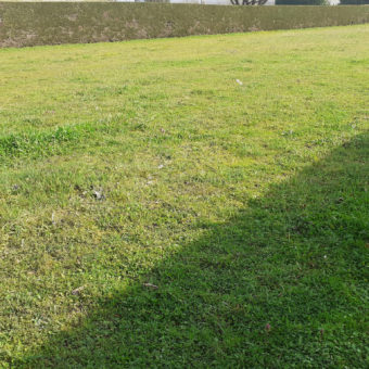 Vente terrain – Ingrandes