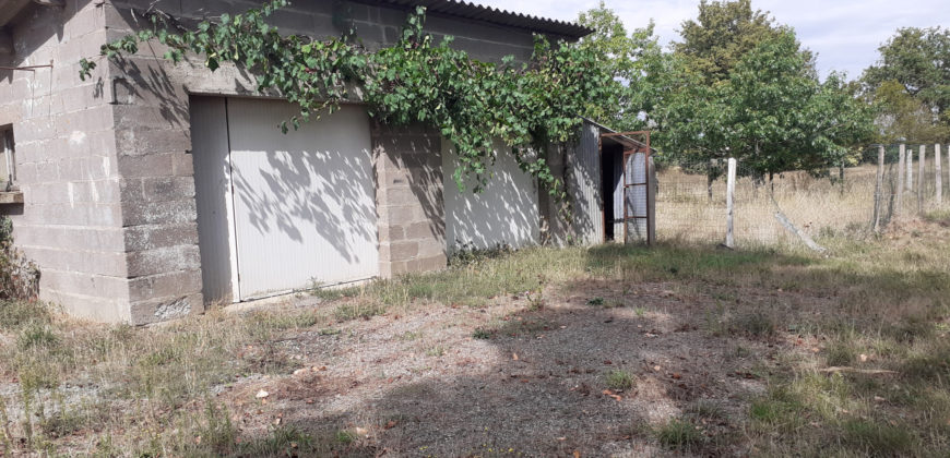 Vente maison – Belligné