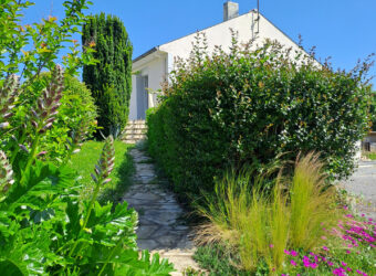 Vente maison – LOIREAUXENCE