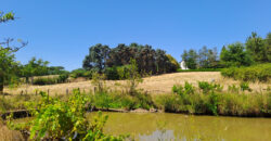 Vente maison – Champtocé-sur-Loire