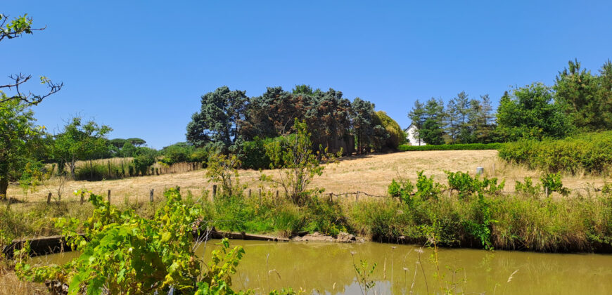 Vente maison – Champtocé-sur-Loire