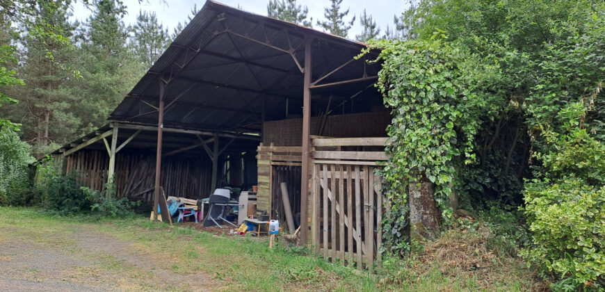 Vente maison – Ingrandes-le-Fresne-sur-Loire