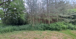 Vente maison – Ingrandes-le-Fresne-sur-Loire