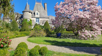 Vente château – Ingrandes-le-Fresne-sur-Loire