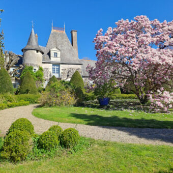 Vente château – Ingrandes-le-Fresne-sur-Loire