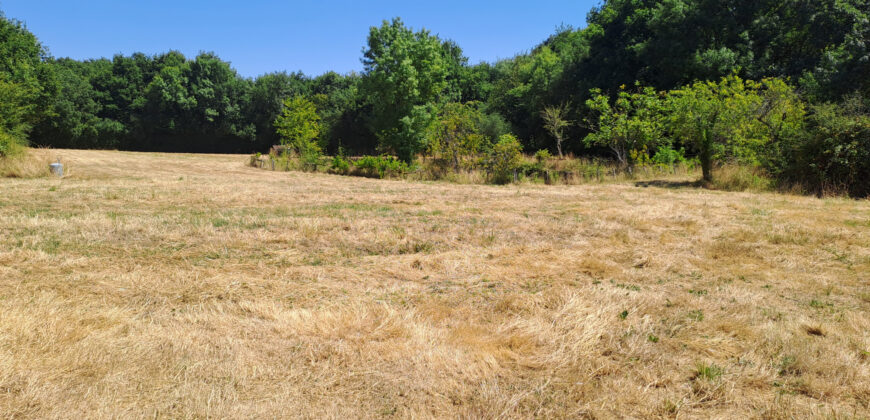 Vente maison – Champtocé-sur-Loire