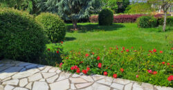 Vente maison – LOIREAUXENCE