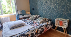 Vente maison – Ingrandes-le-Fresne-sur-Loire