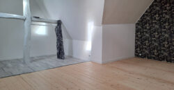 Vente maison – Ingrandes-le-Fresne-sur-Loire