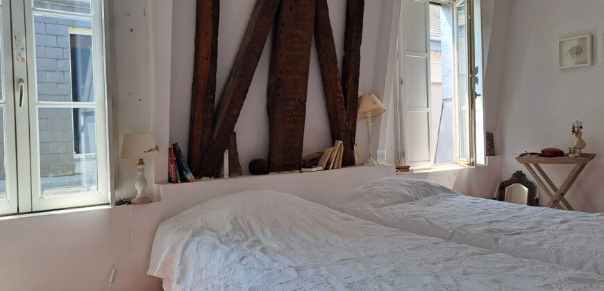 Vente maison – Ingrandes-le-Fresne-sur-Loire