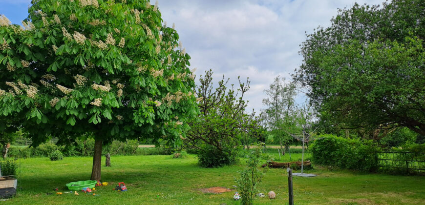 Vente maison – LOIREAUXENCE