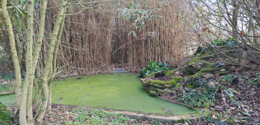 Vente maison – Le Louroux-Béconnais