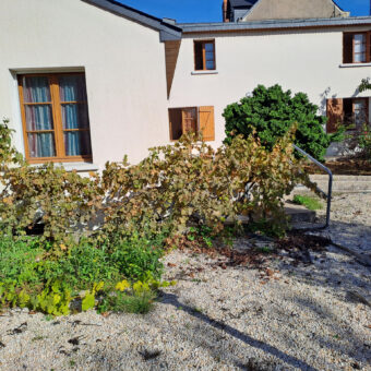 Vente maison – Champtocé-sur-Loire