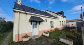 viager viager maison – Ingrandes-le-Fresne-sur-Loire