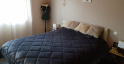 Vente maison – Ingrandes-le-Fresne-sur-Loire