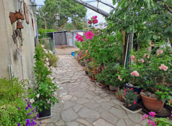 Vente maison – LOIREAUXENCE