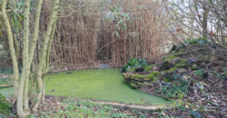 Location maison – Le Louroux-Béconnais