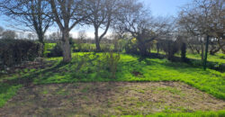 Location maison – LOIREAUXENCE