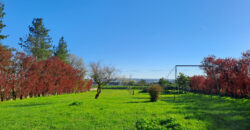 Vente maison – Ingrandes-le-Fresne-sur-Loire