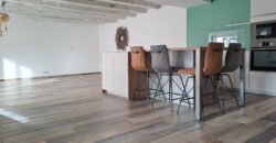 Vente maison – Ingrandes-le-Fresne-sur-Loire