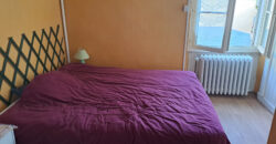 Vente maison – Ingrandes-le-Fresne-sur-Loire