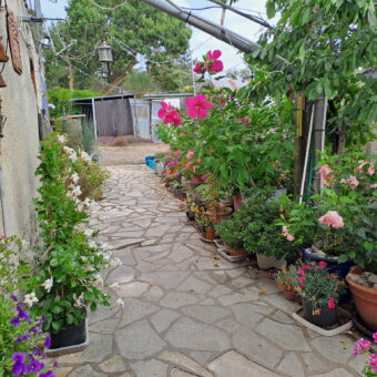 Vente maison – LOIREAUXENCE