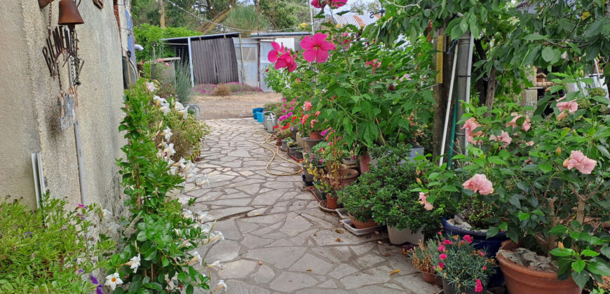 Vente maison – LOIREAUXENCE