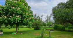 Vente maison – LOIREAUXENCE