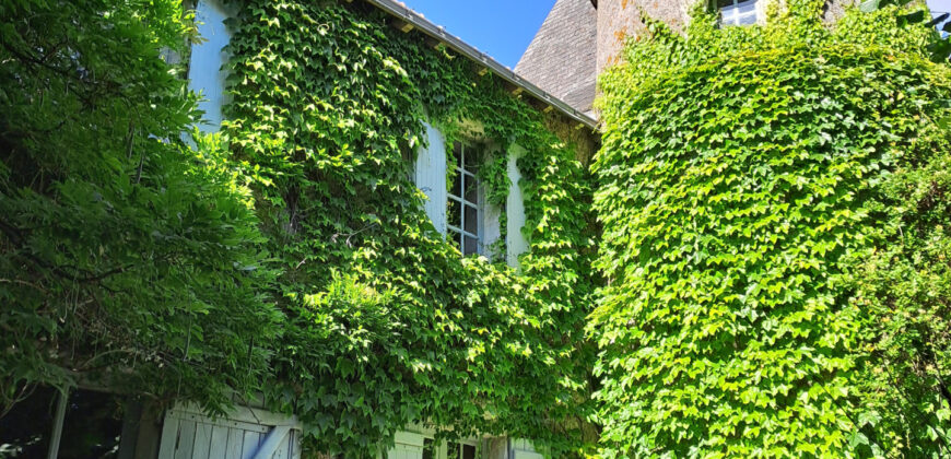 Vente château – Ingrandes-le-Fresne-sur-Loire