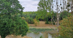 Vente maison – LOIREAUXENCE