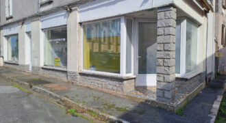 Vente local professionnel – Montjean-sur-Loire