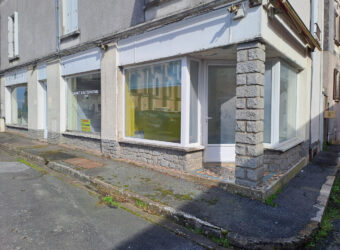 Vente local professionnel – Montjean-sur-Loire