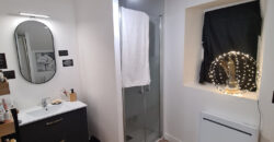 Vente immeuble – Ingrandes-le-Fresne-sur-Loire