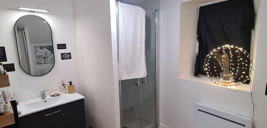 Vente immeuble – Ingrandes-le-Fresne-sur-Loire
