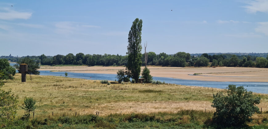 Vente immeuble – Ingrandes-le-Fresne-sur-Loire