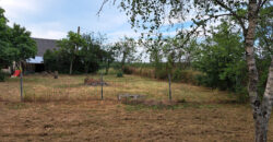 Vente maison – LOIREAUXENCE