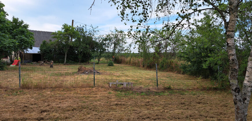 Vente maison – LOIREAUXENCE