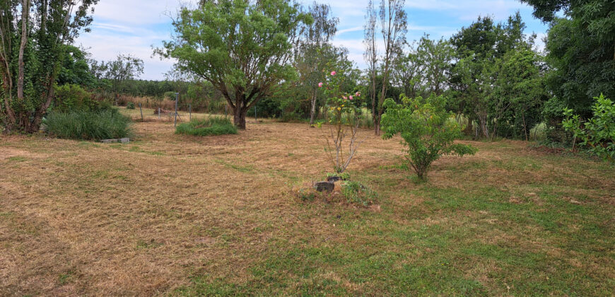 Vente maison – LOIREAUXENCE