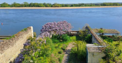Vente maison – Ingrandes-le-Fresne-sur-Loire
