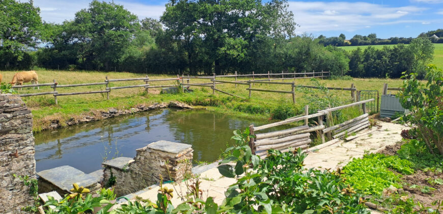 Vente propriete – Bécon-les-Granits