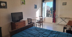 Vente maison – Ingrandes-le-Fresne-sur-Loire