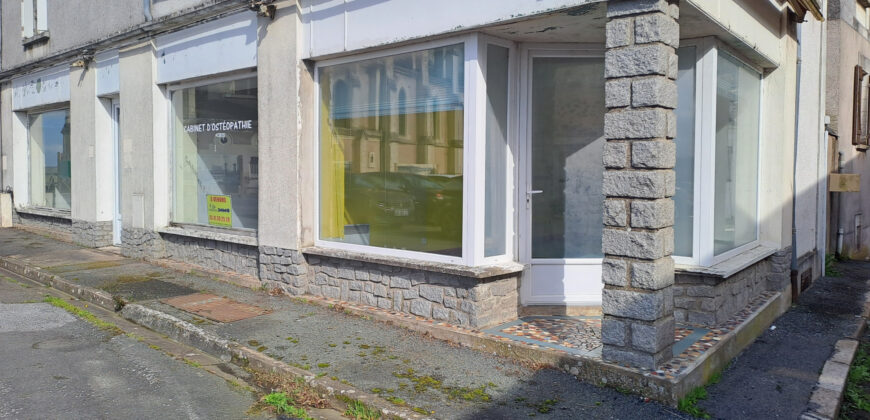 Vente local professionnel – Montjean-sur-Loire