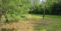 Vente maison – Ingrandes-le-Fresne-sur-Loire