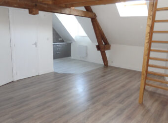 Location appartement – Ingrandes-le-Fresne-sur-Loire